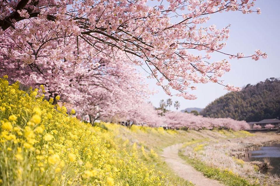 下賀茂溫泉（Image Source : Getty Creative/iStockphoto）