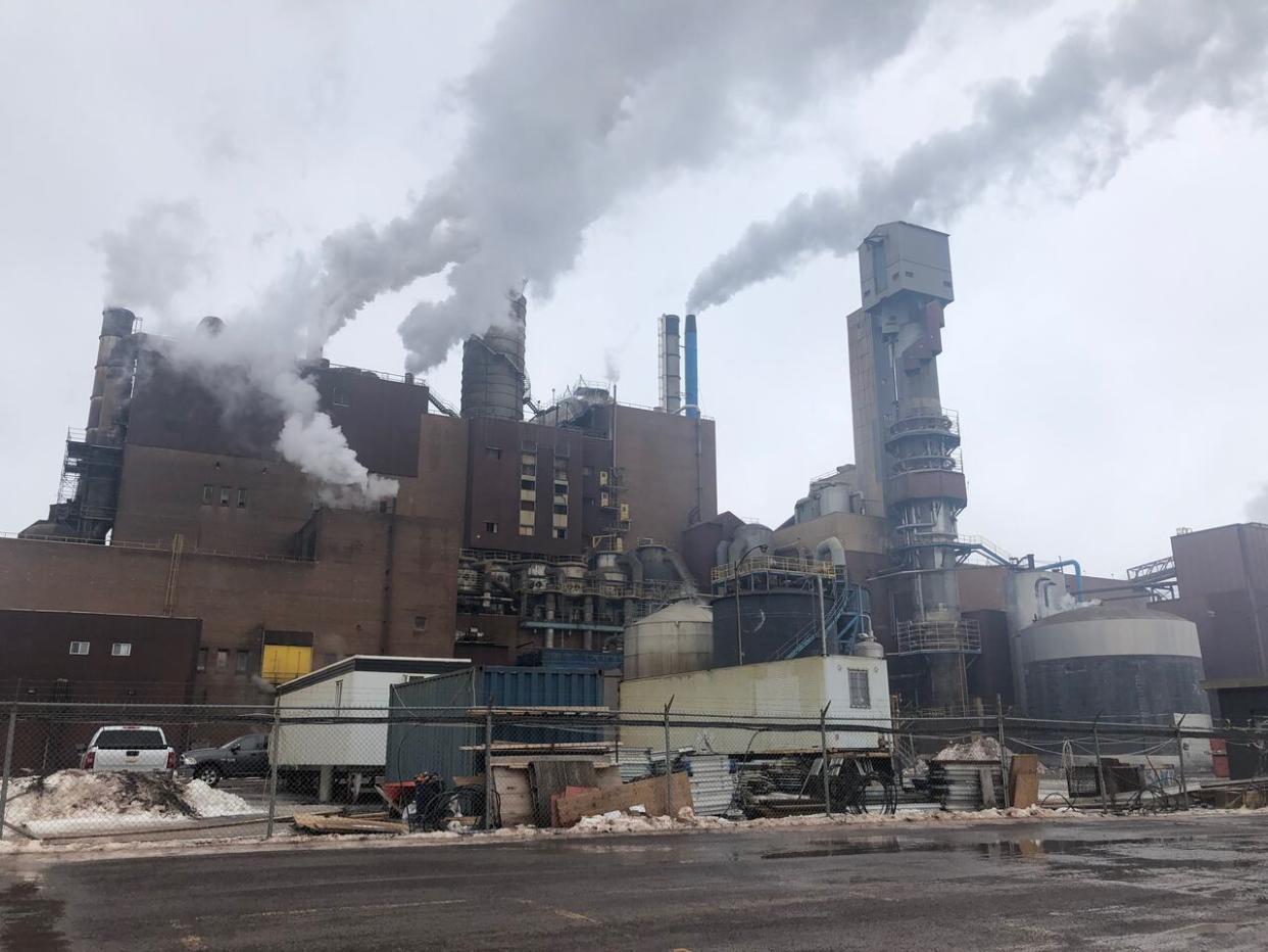 The Northern Pulp mill in Abercrombie Point, N.S., as seen in 2020.  (David Gutnick/CBC - image credit)