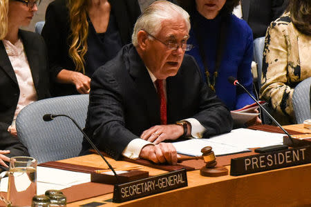 U.S. Secretary of State Rex Tillerson speaks at a Security Council meeting on the situation in North Korea at the United Nations, in New York City, U.S., April 28, 2017. REUTERS/Stephanie Keith