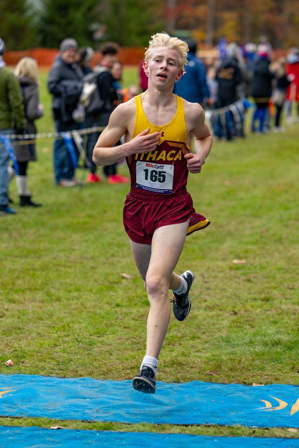 Noah Hilker of Ithaca wins the Section 4 Class A boys cross country championship and qualifies for the state championship round Nov. 2, 2023 at Chenango Valley State Park.