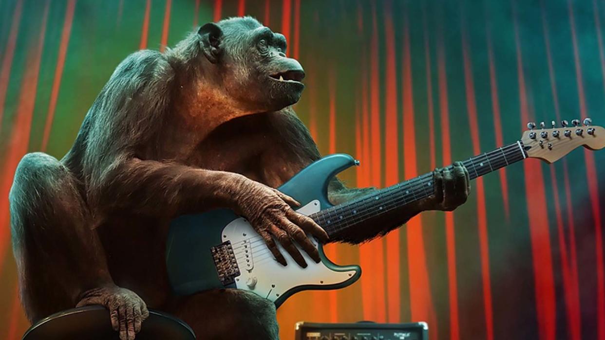  Monkey playing guitar. 