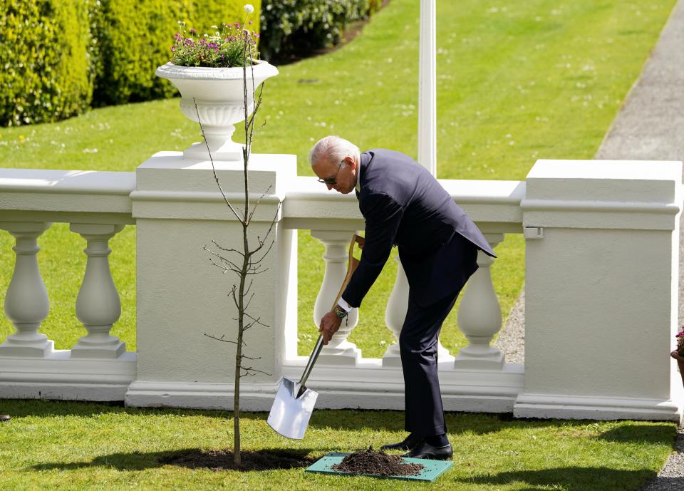 Biden plants a ceremonial Irish oak at Aras an Uachtarain in Dublin (Reuters)