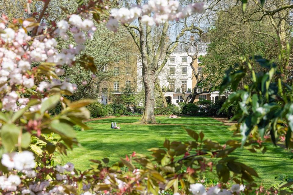 Belgravia’s Eaton Square, which earned the nickname ‘Red Square’ due to its popularity with Russian billionaires (Alamy Stock Photo)