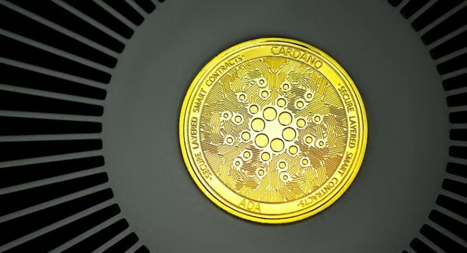 Cardano y las razones por las que pierde más entre las criptomonedas