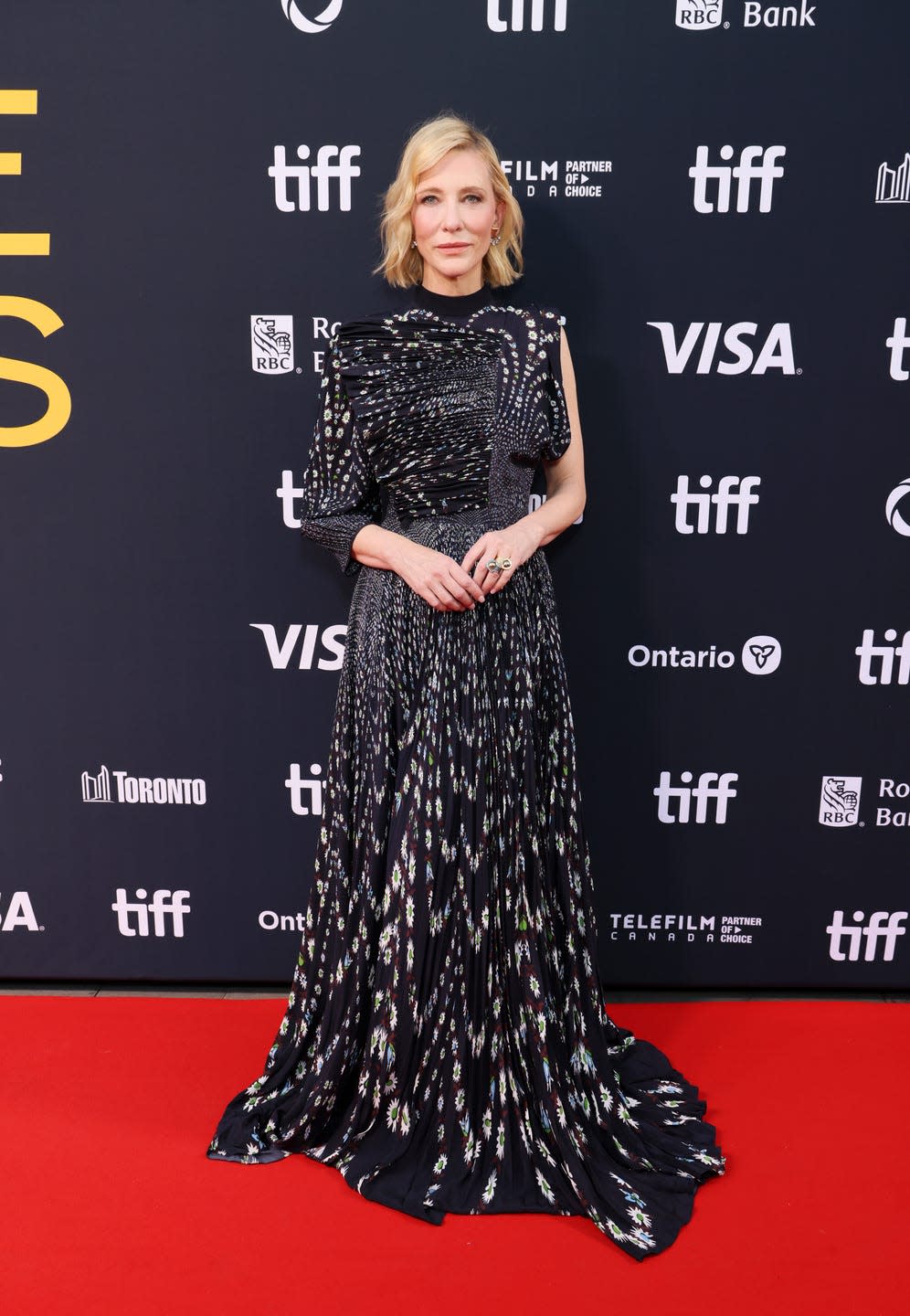 toronto, ontario september 08 cate blanchett attends the tiff tribute awards during the 2024 toronto international film festival at fairmont royal york on september 08, 2024 in toronto, ontario photo by rodin eckenrothgetty images