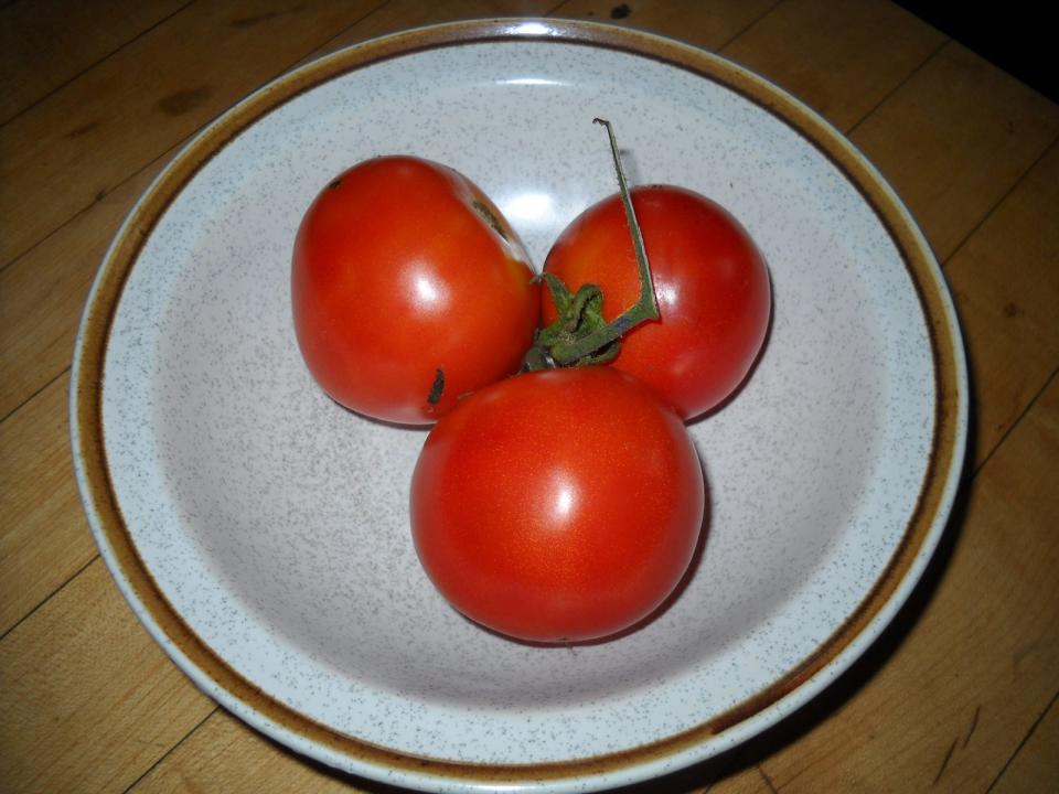 The tomato variety "Defiant" is resistant to late blight.