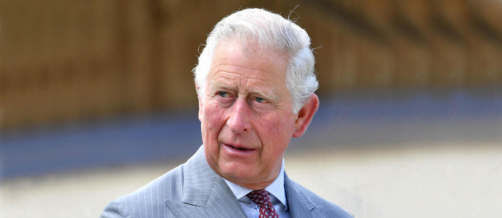 En janvier déjà, devant l'élite mondiale réunie au Forum économique mondial de Davos, en Suisse, le prince Charles avait lancé un cri d'alarme sur le changement climatique.
