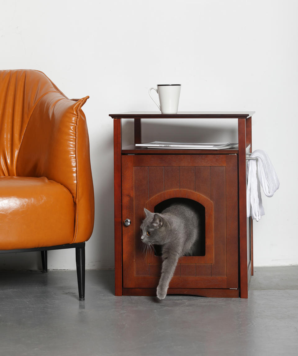 Try a Litter Box Nightstand