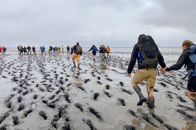 <p>Lizzy Hewitt</p> A group of people mud walking in the Netherlands