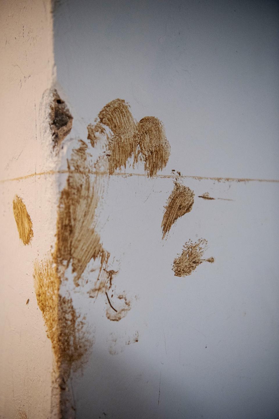 A muddy handprint remains on a support beam in the basement of The River Arts District Brewing Company following a recent flood. The water rose to the line on the beam, which was left after the water receded.