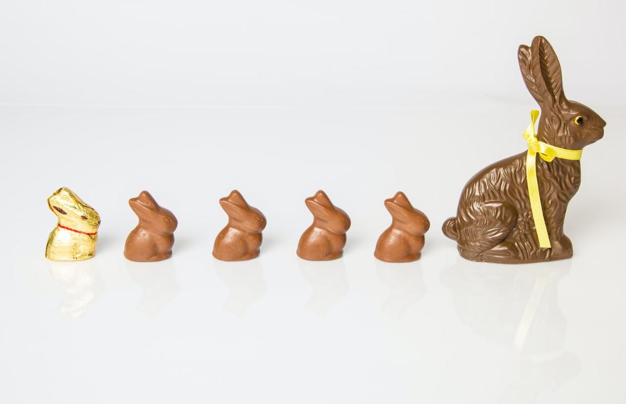Easter has its bunnies, but chocolate comes out for every holiday. <a href="https://www.gettyimages.com/detail/photo/chocolate-bunny-family-royalty-free-image/177875356" rel="nofollow noopener" target="_blank" data-ylk="slk:garytog/iStock via Getty Images Plus;elm:context_link;itc:0;sec:content-canvas" class="link ">garytog/iStock via Getty Images Plus</a>