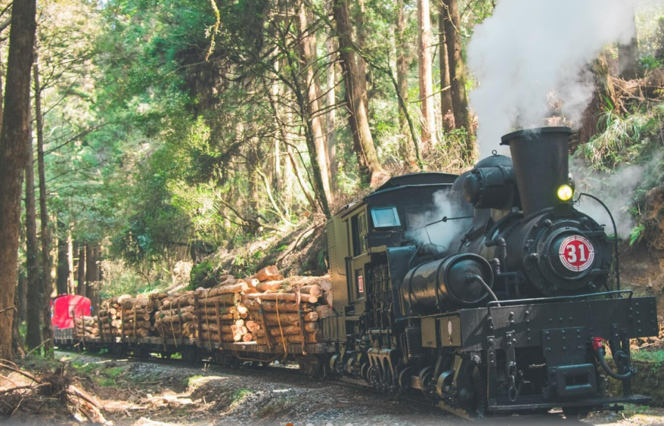 嘉義最近頻繁發生地震，可能導致山區邊坡地質不穩，今(14)日早晨，一棵大樹倒塌阻斷了小火車的路線。   圖：翻攝自阿里山林業鐵路及文化資產管理處