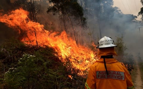 Bushfires continue to burn across New South Wales - Credit: REX