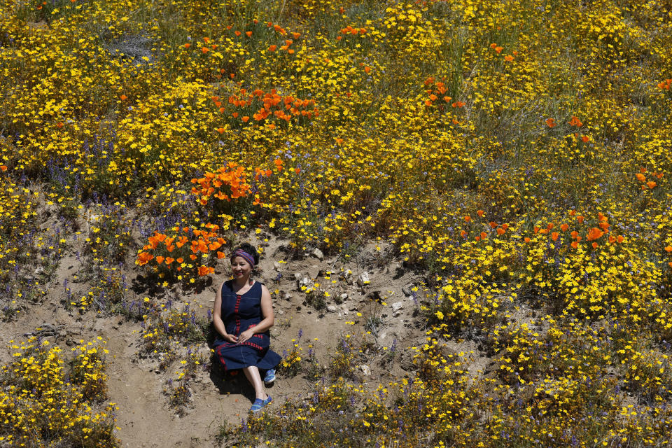 Una persona posa para una foto sobre una colina cubierta de amapolas en flor cerca de la Reserva de Amapolas del Valle Antelope de California, el lunes 10 de abril de 2023 en Lancaster, California. (AP Foto/Marcio Jose Sanchez)