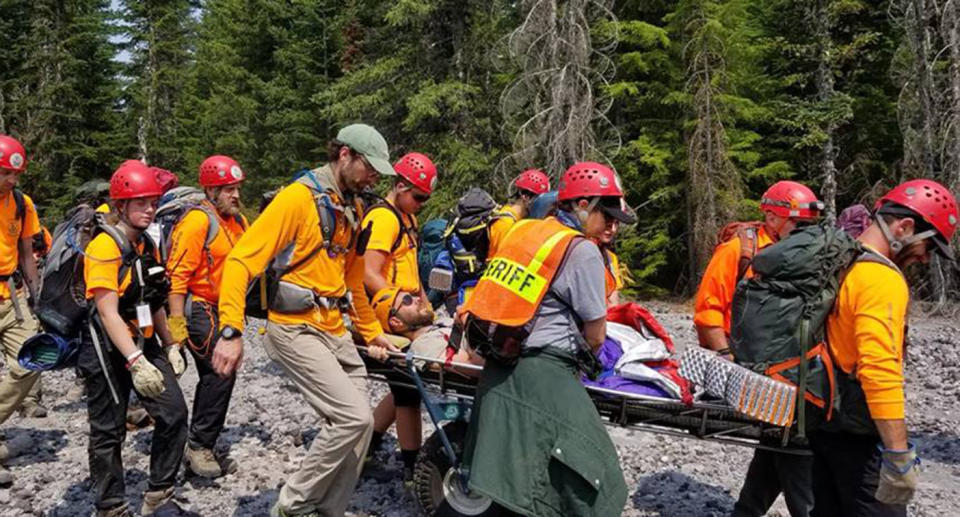 An missing hiker from Ohio survived on bees and berries for nearly a week after he went missing at Mount St. Helens