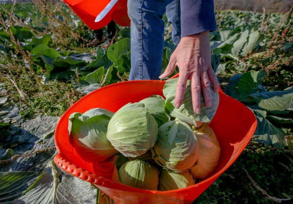 Eva Agudelo started the nonprofit Hope's Harvest to bridge the gap between farmers and agencies feeding the hungry.