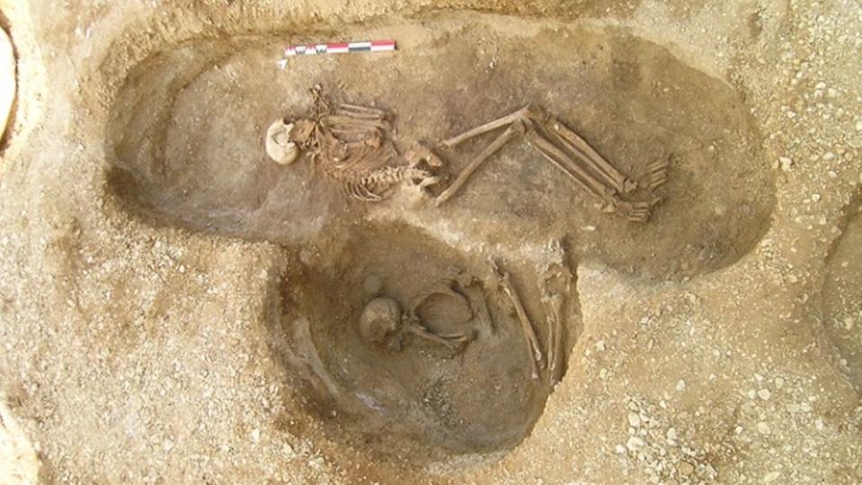A male skeleton found in a grave.