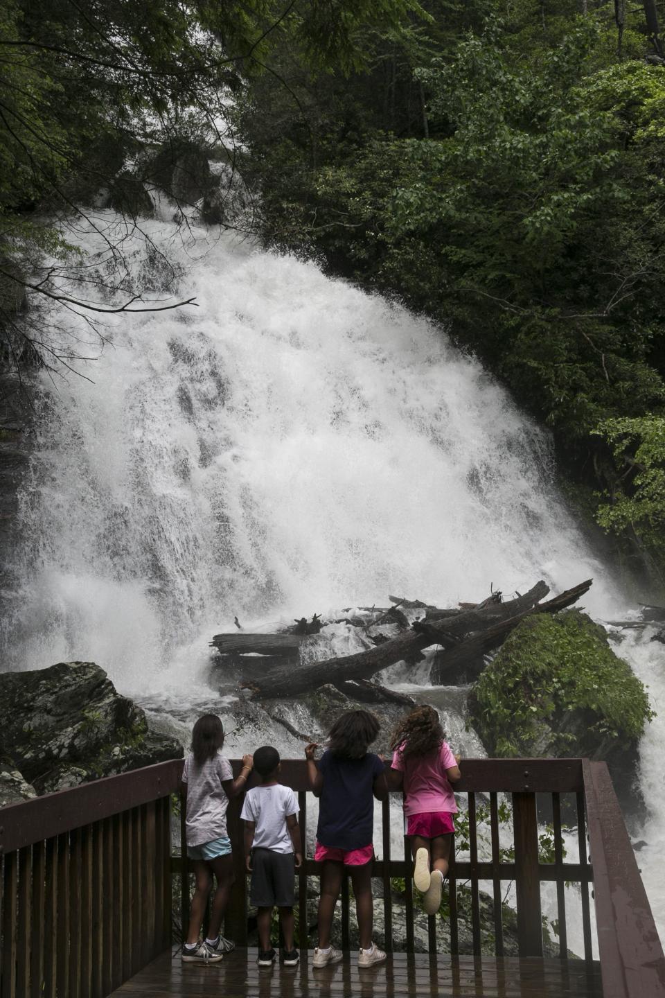 <p>Here are some more photos of Anna Ruby Falls. (Photo by <strong><a href=