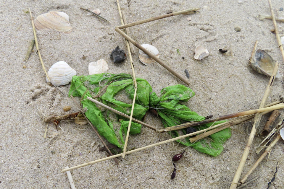 A bag of pet waste sits on the sand in Brick N.J. on Thursday, April 4, 2024, the day that the Clean Ocean Action Environmental Group released a report showing that volunteers picked up and disposed of 176,206 items of trash along New Jersey's 127-mile coastline last year. (AP Photo/Wayne Parry)