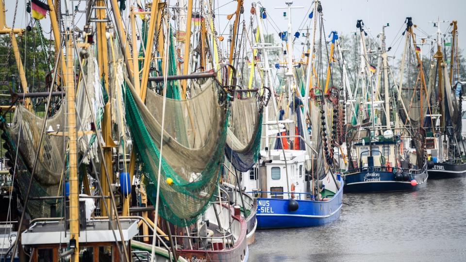 Gerade erst in die Saison gestartet, müssen Krabbenfischer an der deutschen Nordseeküste eine Zwangspause wegen Corona einlegen.