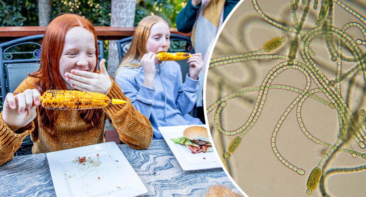 Left - two girls with red hair eating corn in Australia. Right - a close up of blue green algae under a microscope.