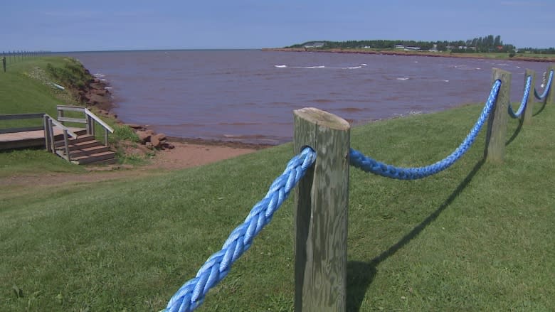 Why P.E.I. isn't testing the water-quality at provincial beaches this summer
