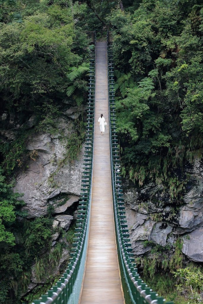 新龍吟吊橋為垂懸式吊橋，高懸富源溪谷，非常壯觀。（花蓮林管處提供）