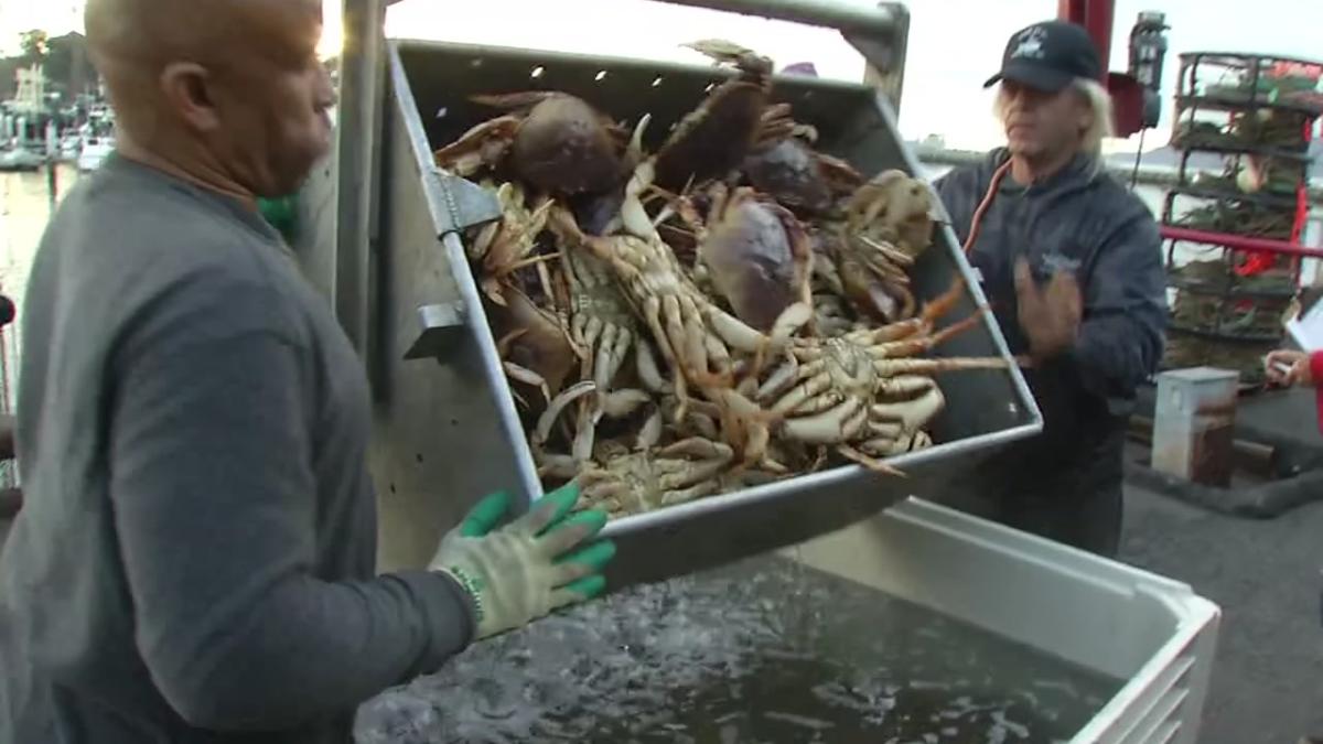 California's commercial crab season ending more than 2 months early