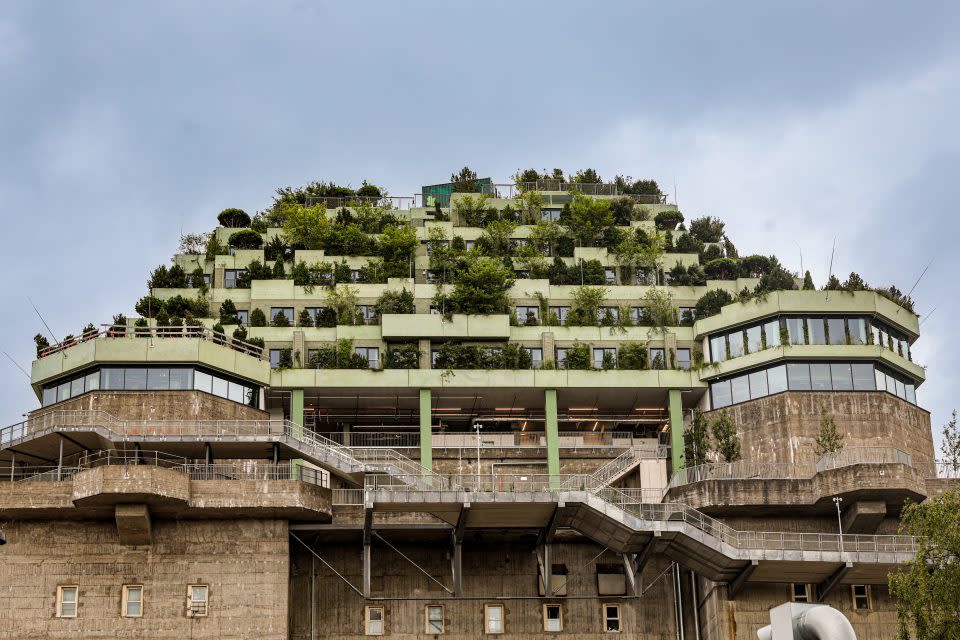 02 July 2024, Hamburg: View of the Hamburg BUNKER in Hamburg St Pauli. On July 5, the Hamburg BUNKER opens its doors to the public. Since 2019, 23,000 trees, shrubs and perennials have been planted on the former anti-aircraft bunker, and numerous public spaces for culture, leisure and gastronomy have been created on five floors. In addition to new space for a hotel, a hall for sports and cultural events and exhibition areas, the roof of the bunker is being greened and a new natural landscape created. The aim is to sustainably improve the urban climate and create cross-generational socio-ecological projects. Photo: Ulrich Perrey/dpa (Photo by Ulrich Perrey/picture alliance via Getty Images)