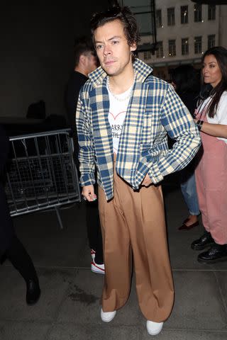 31 Harry Styles Outfits That Live in Our Heads Rent-Free