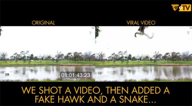 Hawthorn released behind-the-scenes footage, confirming the video is fake.