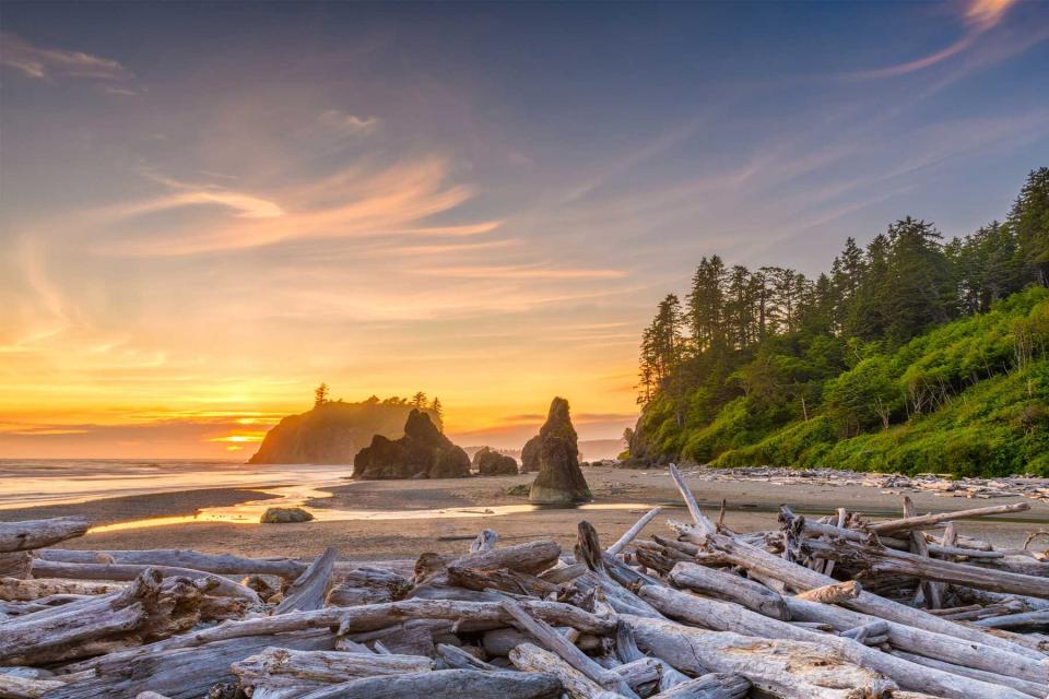 Olympic National Park, Washington at Ruby Beach with piles of deadwood.