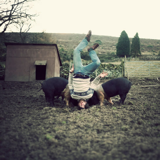 <p>How do you spell "oink" upside down? Morris gets some help from his friends down on the farm. </p> <a href="http://www.stcm.co.uk/" rel="nofollow noopener" target="_blank" data-ylk="slk:(Photo by Caulton Morris);elm:context_link;itc:0;sec:content-canvas" class="link ">(Photo by Caulton Morris)</a>