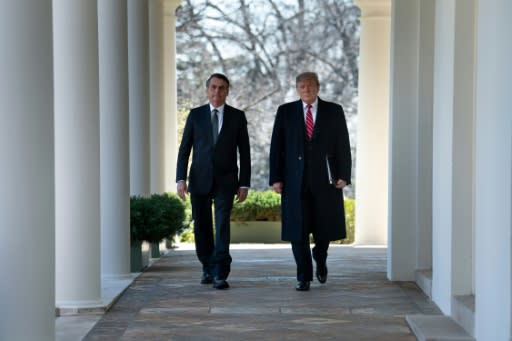 Brazil's President Jair Bolsonaro and US President Donald Trump announced a special relationship at their first joint press conference in the White House's Rose Garden