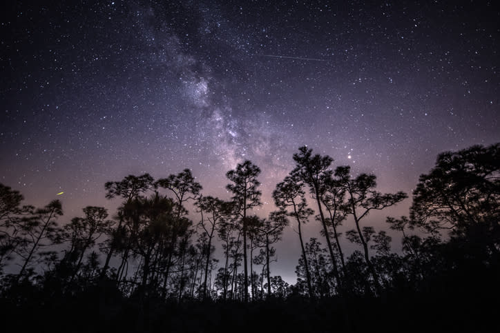 Eta Aquarid Meteor Shower, Babcock Wildlife Refuge, Florida (Getty)