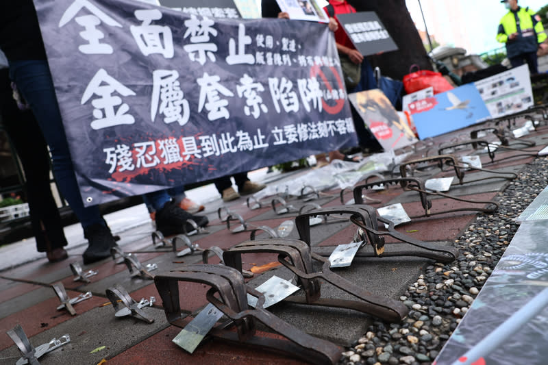 動保團體籲全面禁止金屬套索陷阱（2） 搶救野生動物聯盟18日到監察院大門口舉行記者會， 指出金屬套索陷阱造成野生動物傷亡嚴重，現場呈現 各式金屬獵具，呼籲相關單位應修法全面禁止。 中央社記者王騰毅攝  113年4月18日 