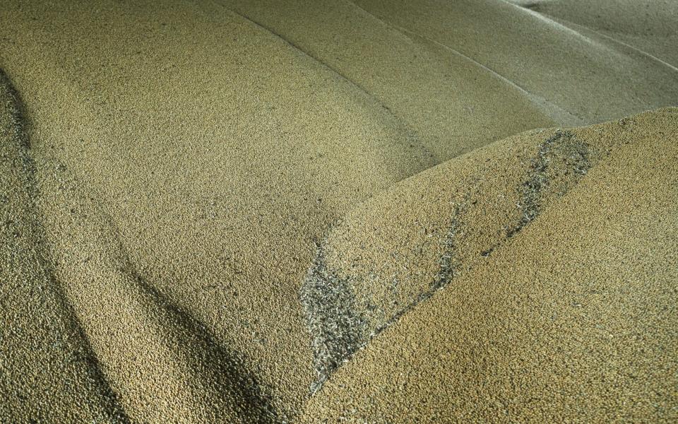 Grain at the port in Izmail, Ukraine - AP Photo/Andrew Kravchenko