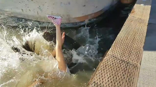 Pulling her into the water. Source: YouTube/Michael Fujiwara