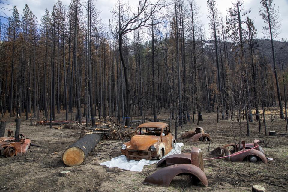 A burned vintage automobile and parts on a charred lot.