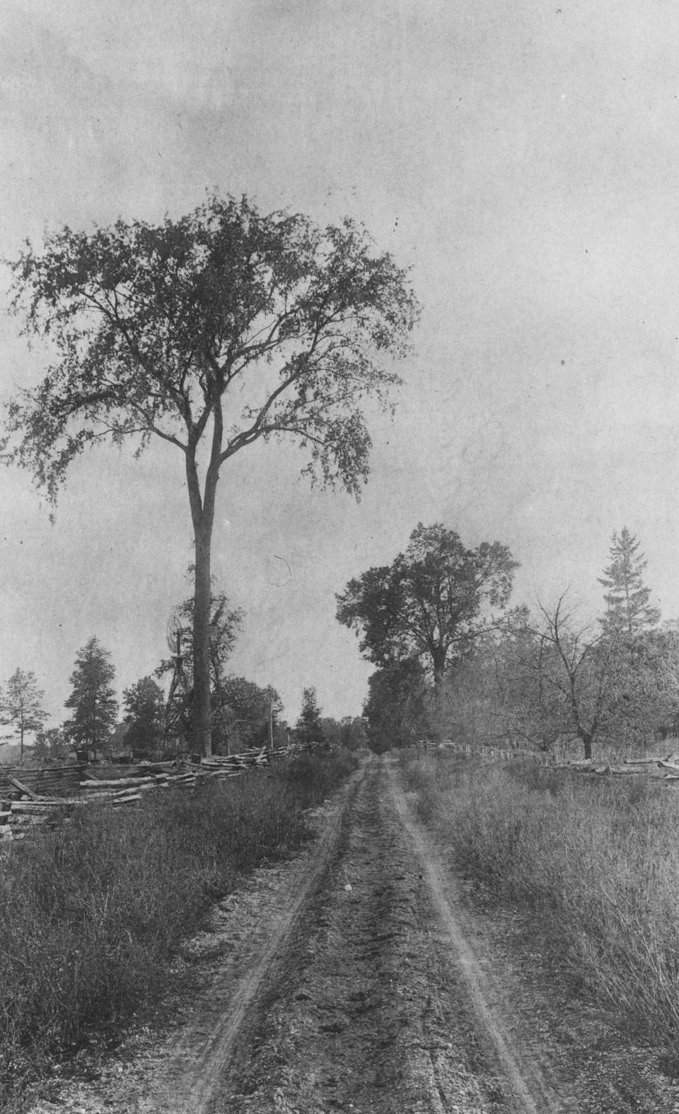 Part of the old Richmond Road near New Burlington Pike in south Muncie, 1896.