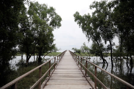 A jetty is seen at a Rohingya repatriation centre in Keruntoli near Teknaf, Bangladesh, November 14, 2018. REUTERS/Mohammad Ponir Hossain