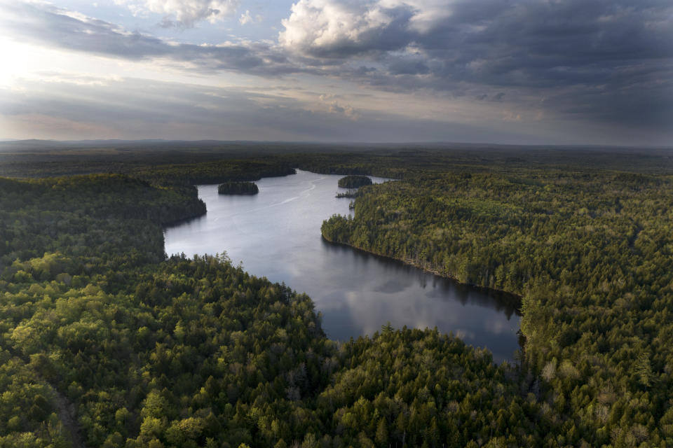 Woodlands surround Peaked Mountain Pond near the site of a proposed largest-in-the-world flagpole, near Columbia Falls, Maine, Thursday, April 27, 2023. (AP Photo/Rodrique Ngowi)