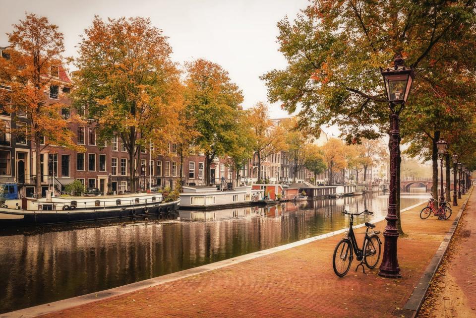 autumn colors in amsterdam, holland