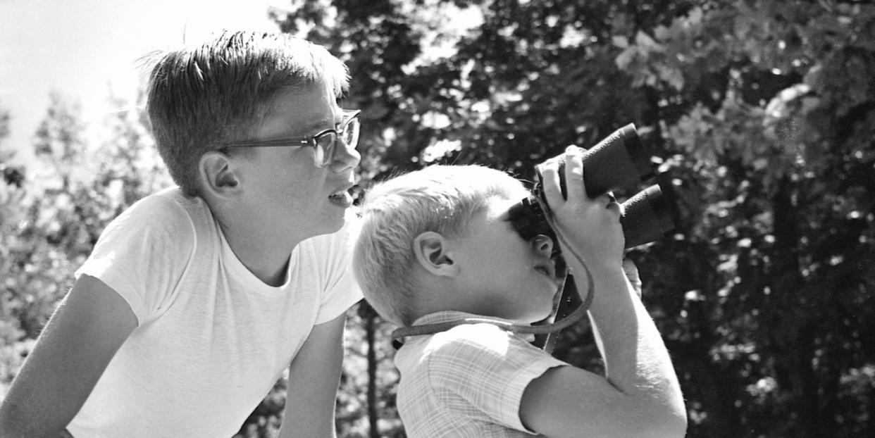 boys bird watching