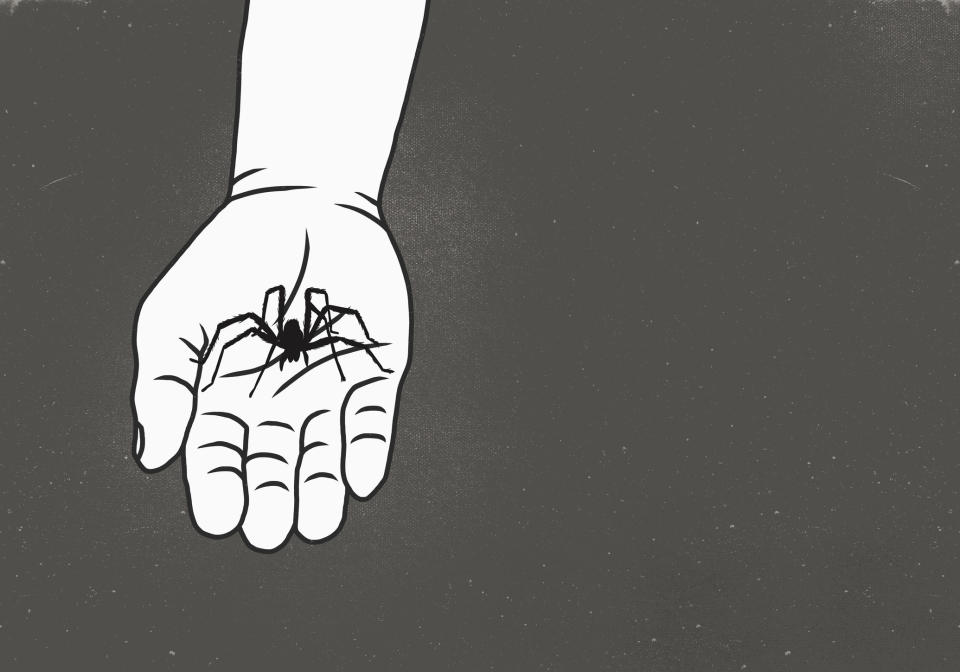 Cartoon of a spider in someone's hand