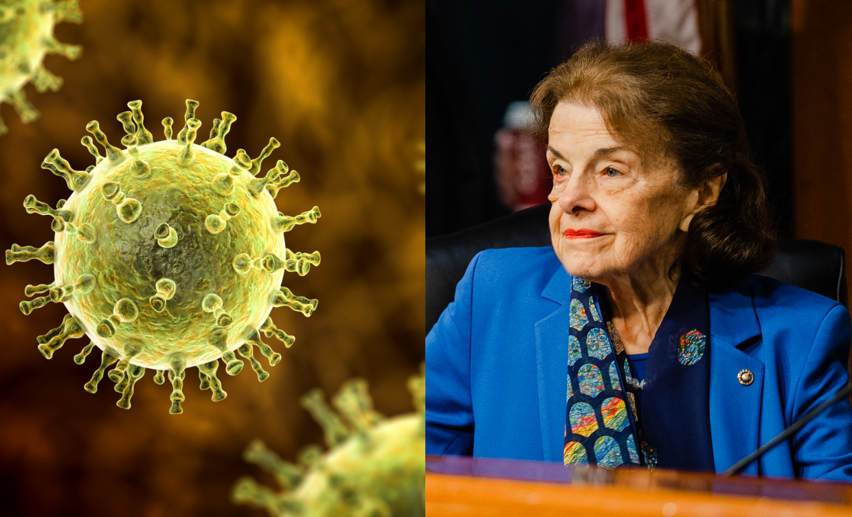 Dianne Feinstein suffered brain inflammation as complication from shingles. (Images via Getty Images)