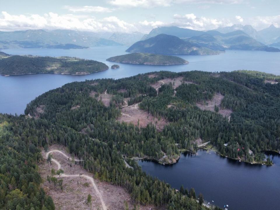 Clear cut blocks on the northern Sechelt Peninsula.