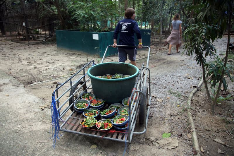 WFFT sanctuary struggles with lack of income due to COVID-19 in Thailand