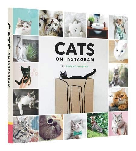 'Cats on Instagram' Book