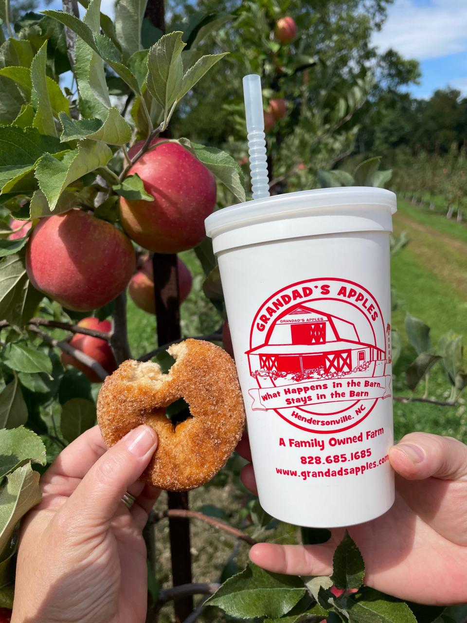 Grandad's Apples offers apple cider, donuts, baked goods, jams and more at its orchard in Henderson County.